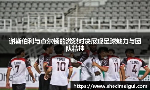 jn江南·体育登录入口